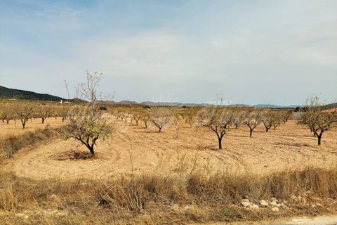 Helårsgrund i Raspay, Murcia, Raspay - € 65.000 | Ref: SF0353 - foto 7